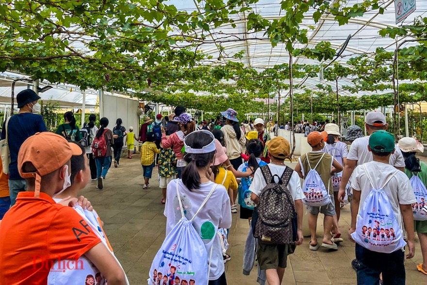 Lễ hội trái cây lớn nhất nước, có nhiều loại cao cấp, quý hiếm - 11