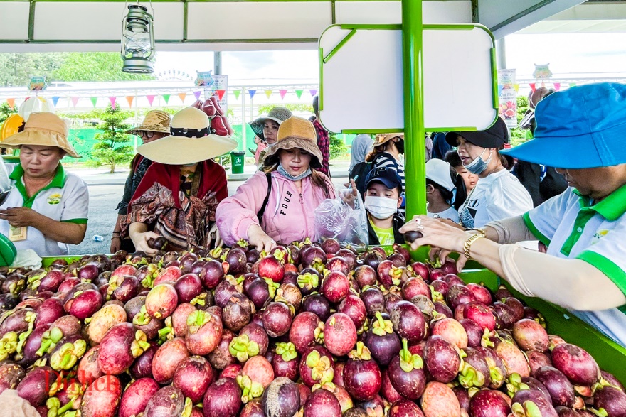 Lễ hội trái cây lớn nhất nước, có nhiều loại cao cấp, quý hiếm - 14