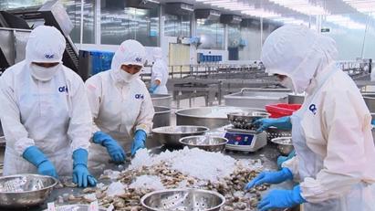 Xuất khẩu thủy sản sang EU khả quan nhưng giảm mạnh tại thị trường Trung Quốc Xuất khẩu thủy sản sang EU khả quan nhưng giảm mạnh tại thị trường Trung Quốc