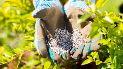 Thuế xuất khẩu phân bón NPK về 0%, giảm thuế nhập khẩu xăng sinh học từ giữa tháng 7/2023 Thuế xuất khẩu phân bón NPK về 0%, giảm thuế nhập khẩu xăng sinh học từ giữa tháng 7/2023