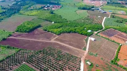 Long An được chuyển 18,11 ha đất trồng lúa sang đất phi nông nghiệp để thực hiện dự án Long An được chuyển 18,11 ha đất trồng lúa sang đất phi nông nghiệp để thực hiện dự án