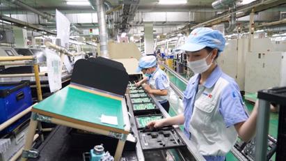 Bộ Tài chính lý giải việc không chuyển 2.800 tỷ đồng tiền dư hỗ trợ thuê nhà sang giải quyết việc làm